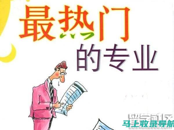 专业推荐：SEO排名优化的核心策略与技巧深度解析